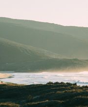 BOA ONDA/NEBOA by BOA ONDA imagen 5