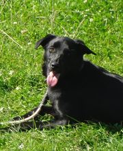 Boulade Hervé image 5