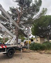 ARNAL SoFoCev image 2