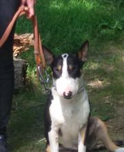 Boulade Hervé image 6