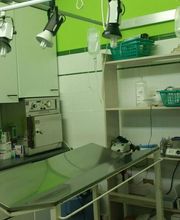 Centro Veterinario Ifach imagen 12