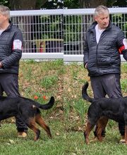 Elevage Des Princes De L'albinol image 8