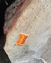 B Bois Forêts image 16