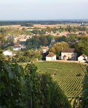 Domaine Des Chauchoux image 1
