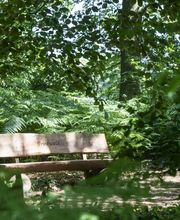 FriedWald Hasbruch Bild 4