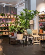 Fleuriot Fleurs, Fleuriste Gare O'Vives Bild 5