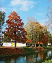 Gemeinde Widnau Bild 1