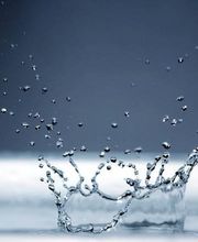 Alisma Filtration image 1