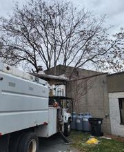 Happy Stump Tree Service image 15