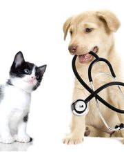 Tierarztpraxis Weber Bild 2