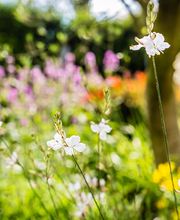 GRIMM garten gestalten GmbH Bild 6