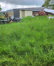 Jonathan paysagiste image 3