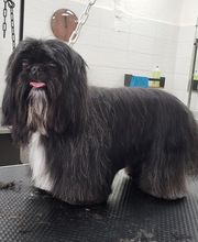 A FLAIR ALLURE image 18