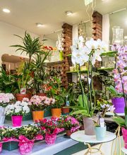 Floraly image 14