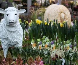 Intratuin Nuenen afbeelding 6