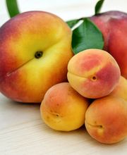 Les Thés du Voyage Bild 12