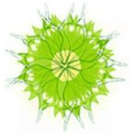 Naturheilpraxis Murer GmbH