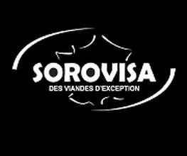 Sorovisa image 4