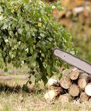 Mary Motoculture SARL image 4