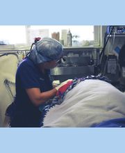 Animal Health Care Denver image 2