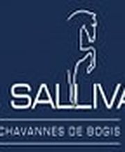 Manège de la Sallivaz & Poney club Bild 5