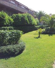 INDIGO JARDINES imagen 16