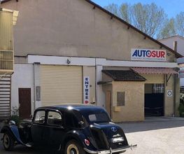 Autosur image 2