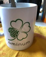 Aminum image 1