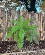 Guilhot Paysage image 8