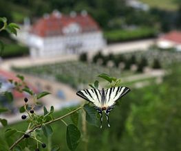 Schloss Wackerbarth Bild 4