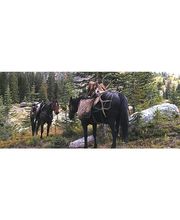 Colorado Premier Outfitters image 1