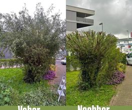 Traumplatz Garten- Gebäudemanagement Bild 5