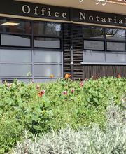 Grieu Céline image 4