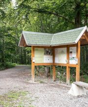 FriedWald Bad Berka Bild 4