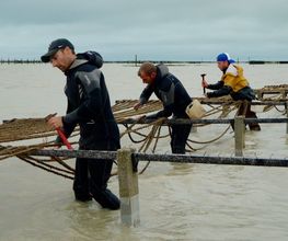 Scem DUFAIX image 14
