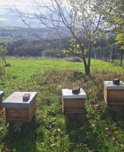 Saarimkerei Gaul Bild 12