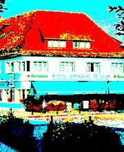 HOTEL RESTAURANT DU CYGNE image 3