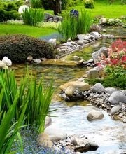 Vollenweider Gartenbau AG Bild 6