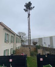 Millet Paysage image 3