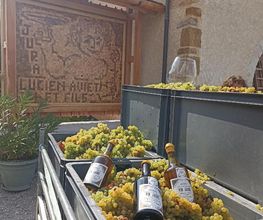 Caveau De Bacchus EARL image 10