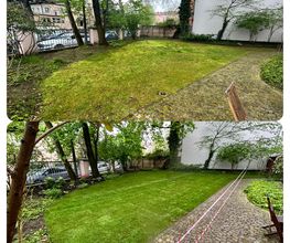 Gartenservice Mark Miess Bild 25