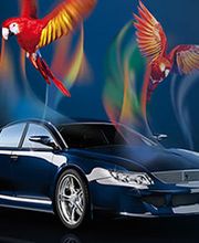 Autolackiererei Hofmann Bild 1