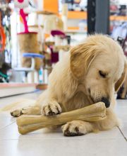 Veterinario Vet Sur Armeñime imagen 15