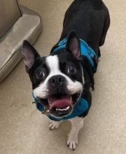 Back Mountain Veterinary Hospital image 7