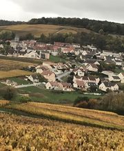 Champagne Th.Thomas-Hatté EARL image 2