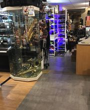 CHOPIN Music Store image 4