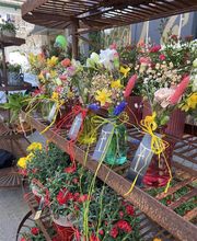 Blumen Candinas / Fluras Candinas Bild 9