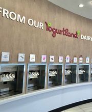 Yogurtland Riverside image 4