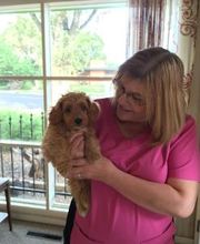 Rreddy Smiles image 7