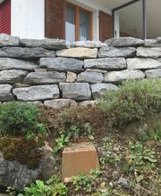 Patric Gartenbau Bild 4